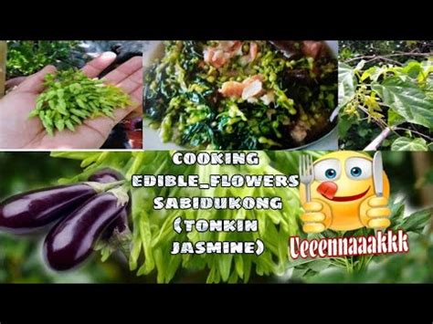 sabidukong|Name That Edible Flower Sabidukung / Tonkin Jasmine.